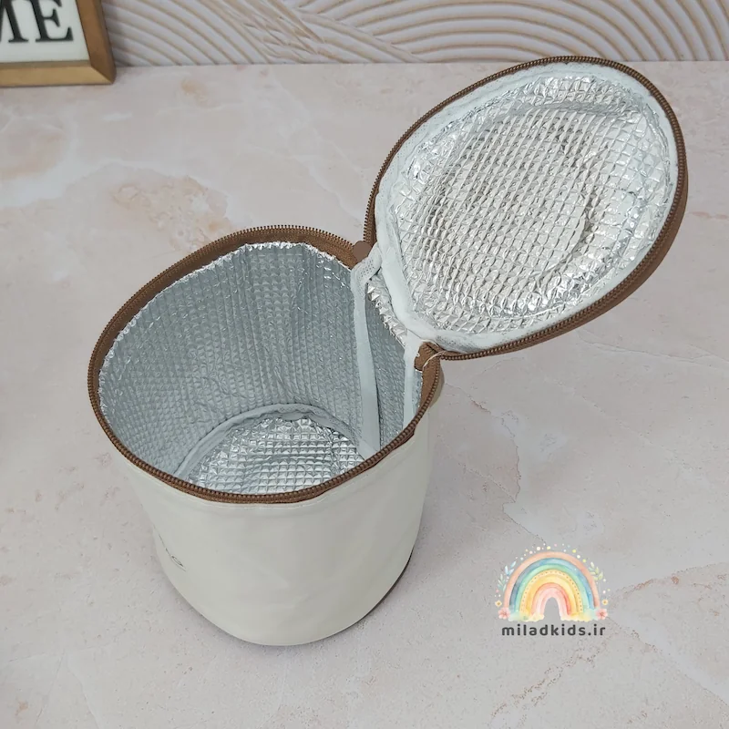 کیف عایق حرارت لانچ باکس پینترستی دوتایی